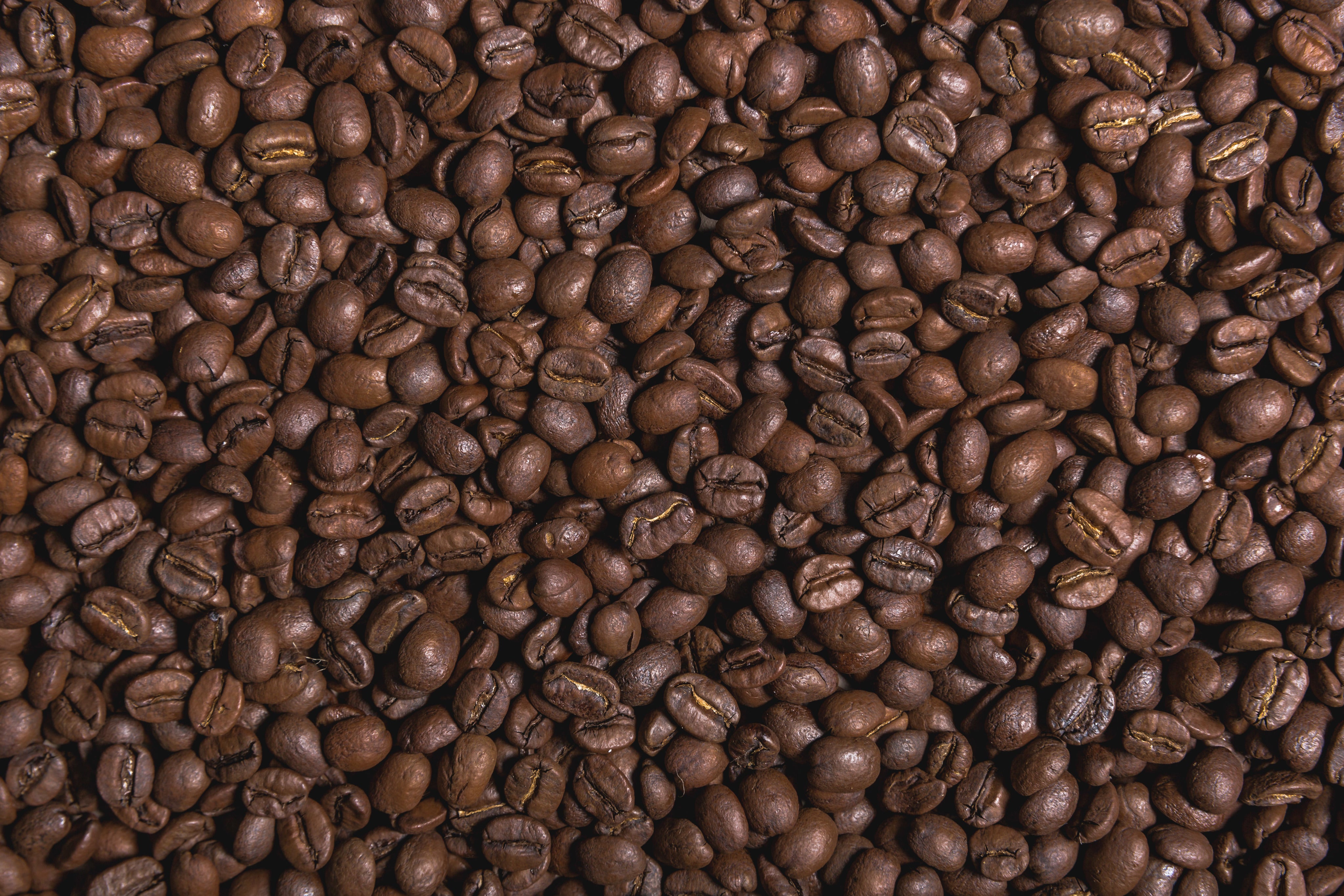 flat-coffee-beans.jpg